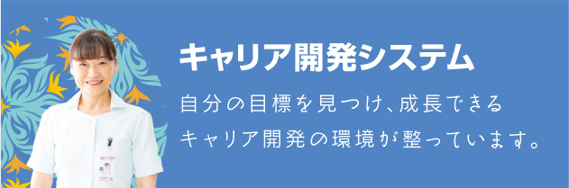 キャリア開発システム